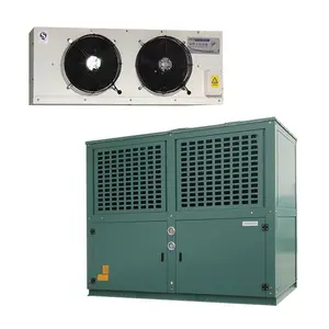 Condensing Unit Deep Freezer Panel Storage Cold Room For Food Milk Chemical Industry