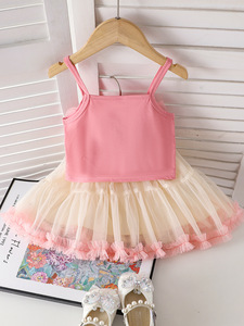 2025 été enfants vêtements haut à licou <span class=keywords><strong>Tut</strong></span> dentelle jupe deux pièces 2-7Y enfants fille fleur vêtements ensemble - Product Image 2