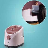 Défroisseur Vapeur Électrique Portable et Vertical pour Usage Domestique et Hôtelier, Anti-Brûlure à Sec, 2000W, 11 Vitesses, Grand Réservoir d'Eau pour Vêtements