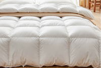Couette de remplissage en plumes de canard d'oie blanche quatre saisons Premium OEM & ODM couette en duvet hôtel cinq étoiles noyau de plumes de canard