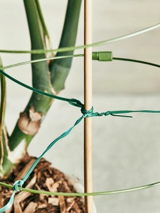 Attache torsadée pour plantes de jardin de 328 pieds avec coupe-fil intégré pour <span class=keywords><strong>le</strong></span> jardinage, la maison et l'organisation du bureau - Product Image 4