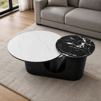 Table basse moderne haut de gamme avec plateau en marbre et structure métallique, design durable pour petit appartement, mobilier de salon de luxe