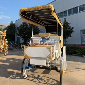รถม้าชมวิวไฟฟ้าสีดำคุณภาพสูง รถม้าราชวงศ์ รถม้าแต่งงานทรงฟักทอง สำหรับขาย - Product Image 4