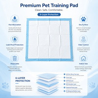 Tapis d'apprentissage jetables pour chiots, haute absorption, séchage rapide, anti-fuites, pour chiens d'intérieur, pour l'apprentissage de la propreté