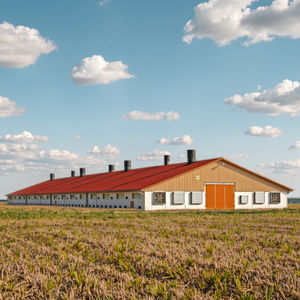 منزل دجاج بسعة كبيرة ، هياكل فولاذية للدواجن ، مباني زراعية جاهزة اقتصادية - Product Image 5