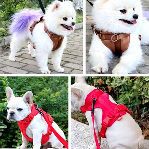 Set di Collare, Guinzaglio e Pettorina per Cani di Taglia Media in PVC Imbottito con Bottoni, Quattro Pezzi di Lusso - Product Image 5