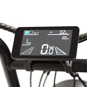 Bicicletta Elettrica TXED 20 Pollici 48V 250W con Motore Posteriore, Freno a Disco, Telaio in Lega e Pneumatici Fat - Product Image 4