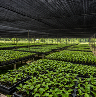 Filet d'ombrage anti-UV, toile occultante tricotée, filet de protection pour cultures agricoles, serres, jardins, fermes et volailles