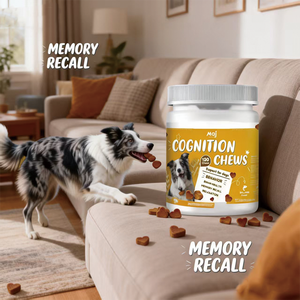 Vente en gros d'usine OEM/ODM : Complément alimentaire à mâcher souple pour chiens, favorisant l'amélioration de la santé cérébrale et cognitive - Product Image 4