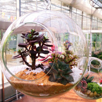Vase en verre pour décoration de terrarium de fleurs et plantes, fabrication HDW, vente en gros à bas prix, pour la décoration de la maison