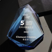 Cadeau d'Affaires Personnalisé en Forme de Glaçon, Trophée en Verre de Cristal Iceberg Irrégulier, Plaques et Médailles Design