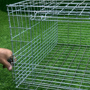 Offre Spéciale Cage à Poulets de Chair à 4 Niveaux de Type H, Prix pour 120 Oiseaux, Élevage de Volaille en Batterie pour les Philippines - Product Image 4