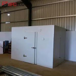 Solar Frozen Cold Room Cold Storage Container Customized Provided Swing Door Color Steel Meat and Fish Frozen,cold Storage 8000