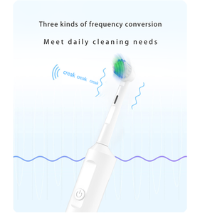 Wholesale Pet Electric Toothbrush Automatic Dog Cat Toothbrush 360 Tooth Cleaning Tool Pet Dog Toothbrush - Product Image 5