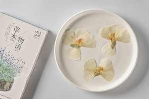 หน้ากาก Godetia Farewell To Spring ทำบัตรเครื่องประดับเรซินพืชธรรมชาติเป็นมิตรกับสิ่งแวดล้อมจริงกดดอกไม้ - Product Image 2