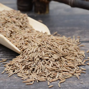 بيع بالجملة عالية الجودة بذور الكراواي/O التوابل سعر المصنع Jintan Alcaravea معالجة الخام المجفف OEM نمط - Product Image 3