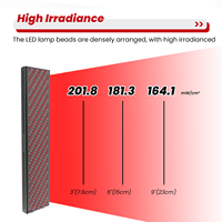 Appareil de luminothérapie à lumière rouge à luminosité réglable avec écran tactile IDEARED, panneau de luminothérapie infrarouge, luminothérapie rouge pour usage clinique
