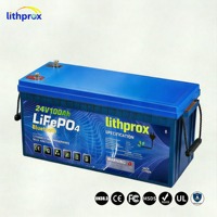 Batería para Montacargas 24V 100AH Grado Automotriz LiFePO4 Rendimiento Consistente para Transpaleta Eléctrica CE RoHS IP67 Venta al por Mayor