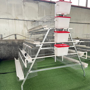 <span class=keywords><strong>Prix</strong></span> ​​bas, élevage <span class=keywords><strong>de</strong></span> volailles, 10 000 oiseaux, poules pondeuses, cage à poules, poulailler à œufs à <span class=keywords><strong>vendre</strong></span> en Afrique du Sud - Product Image 3