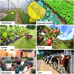 Bẫy Côn Trùng dính hiệu quả như một giải pháp cho côn trùng bay bắt và kiểm soát côn trùng gây hại - Product Image 6