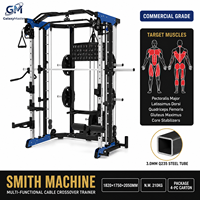 Gm-q1007 Machine Smith multifonctionnelle de fitness, vente en gros usine, pile de poids 325 kg, certifiée CE ISO9001, garantie 3 ans, usage domestique