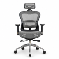 Chaise de bureau exécutive ergonomique en maille, fabrication taïwanaise, avec appui-tête fixe, accoudoirs réglables, base en aluminium chromé, design pivotant moderne