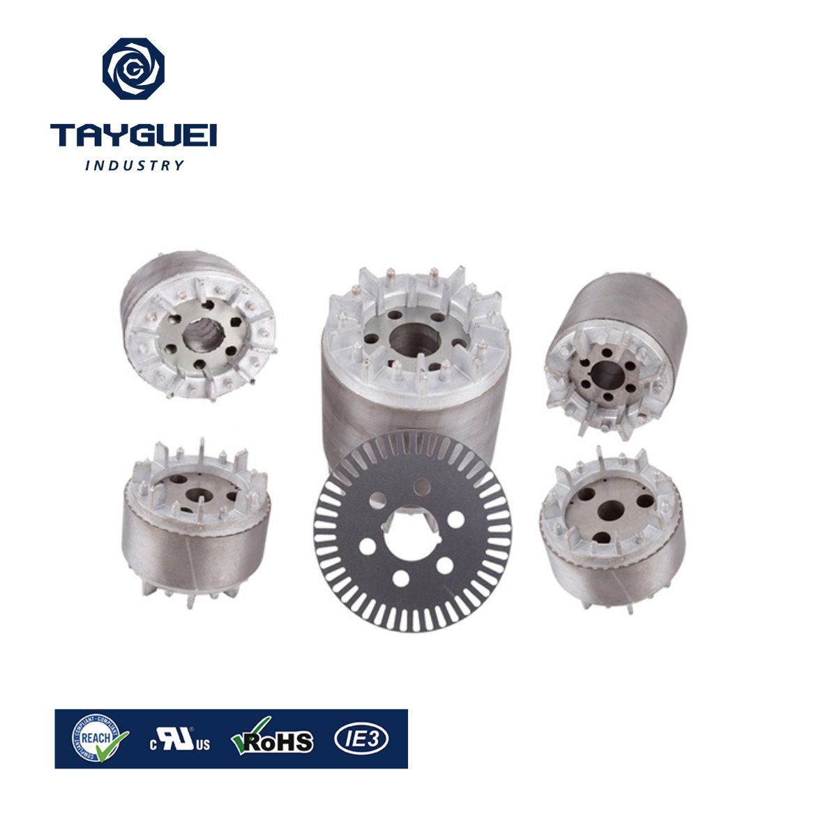 electric generator rotor and stator