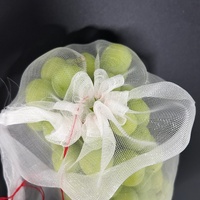 Agrarische gebreide nylon plastic insectengaas zak voor fruit & groente bescherming, anti-vogel, anti-wateroverstroming, tuinnet