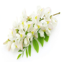 Extrait de Sophora Japonica de qualité GMP, 95% pur, Xin Sheng, poudre de Rutine de haute qualité, qualité alimentaire, certifié Halal, emballé sous vide UV