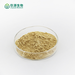 Biologisch <span class=keywords><strong>Angelica</strong></span> Sinensis Wortel Extract Poeder Voedingsmiddelkwaliteit Gezondheidssupplement Trommelverpakking - Product Image 3