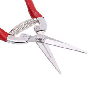 Tijeras de Podar Profesionales de Acero Inoxidable Rectas de 8' (20cm) con Mango de Agarre Suave, Herramienta Industrial Personalizable para Manzanos - Product Image 2