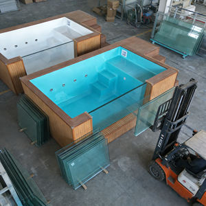 Piscine en acrylique transparente, piscine sans fin, piscine préfabriquée, piscines pour adultes, piscines en acrylique, piscine pour chien, grande piscine - Product Image 3