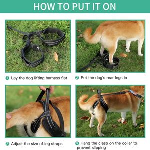 Large Dogs Lift Anti Slip Sling <span class=keywords><strong>Rear</strong></span> Hind Legs <span class=keywords><strong>Harness</strong></span> para Idosos Deficiências e Lesões Pets - Product Image 3