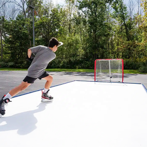 Tapis <span class=keywords><strong>d</strong></span>'entraînement de hockey ZSPE haute performance en HDPE, grand tapis de tir de hockey, planche <span class=keywords><strong>d</strong></span>'entraînement de hockey robuste pour les compétences <span class=keywords><strong>d</strong></span>'élite - Product Image 6