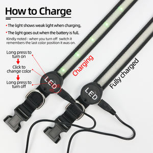 Collar LED de calidad para perros pequeños, collar recargable por USB que brilla en la oscuridad - Product Image 3