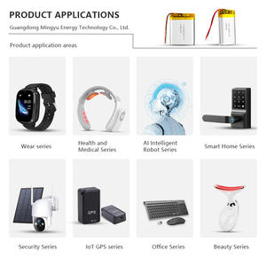 공장 맞춤형 3.7V/900mah 122528 마이크로 파우치 충전식 리튬 폴리머 배터리 팩 리튬 이온 배터리 팩 - Product Image 5