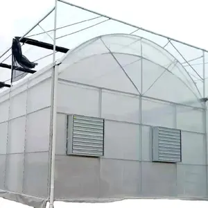 Large tomato plastic greenhouses buy plastic for greenhouse