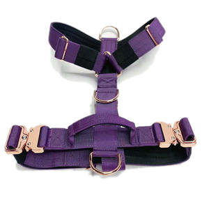 Großhandel Maßgefertigtes Luxus-Taktisches Hundegeschirr-Set Verstellbares Hundehalsband mit Leine und Roségold-Metallschnalle - Product Image 2