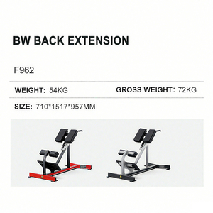 Máquina de Extensión de Espalda de Alta Calidad para Gimnasio, Equipo de Entrenamiento Físico Comercial, Modelo BW WD-F962, Tu Equipo de Fitness Confiable - Product Image 3