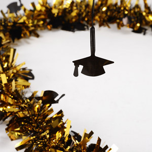 थोक स्नातक पार्टी सजावट-स्ट्रीमर, गार्लैंड्स और बंटिंग, थोक स्नातक सीजन सजावट की आपूर्ति - Product Image 6