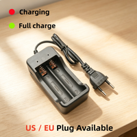 Chargeur de batterie double fente 18650, prise EU, double LED, charge rapide indépendante pour batteries lithium-ion 3,7 V, utilisation à domicile et en voyage