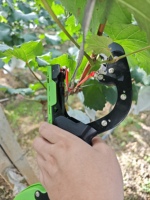 Machine à attacher les plantes agricoles OEM compatible avec le ruban standard et les agrafes 604C