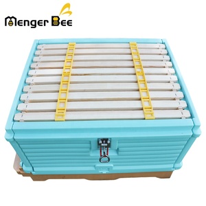 Beekeeping Top Supplies Plastic Beehive Langstroth Beehive Mini Beehive Beekeeping - Product Image 5