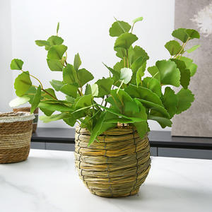 Decoración Floral <span class=keywords><strong>de</strong></span> lujo ligero, arreglo floral para sala <span class=keywords><strong>de</strong></span> estar, simulación <span class=keywords><strong>de</strong></span> flores <span class=keywords><strong>secas</strong></span>, agrupamiento <span class=keywords><strong>de</strong></span> cuatro hojas <span class=keywords><strong>de</strong></span> Ginkgo - Product Image 1