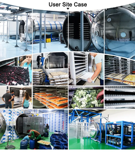 Pour la récolte droite lyophilisateur industriel lyophilisateur sous vide prix compétitif lyophilisateur alimentaire avec <span class=keywords><strong>pompe</strong></span> lyophilisation fruits - Product Image 5