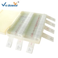 20pcs Human Oral Histology Slides Histology Slides Mouth Parts Microscope Oral Histology Slides
