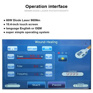 Kuda kucing anjing terbaru 60W Laser terapi penghilang rasa sakit lampu merah terapi hewan fisioterapi untuk klinik hewan - Product Image 3