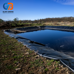 HDPE Geomembrane Eco-Friendly Durable for Coastal <strong>Dyke</strong> and Pond Waterproof Protection Liner - Product Image 3