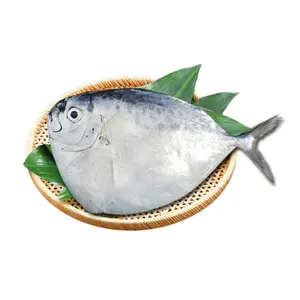 Lampe d'exportation de Chine capturée IQF surgelée Moonfish tout rond en vrac 10kg/ctn acheteur poisson surgelé moonfish