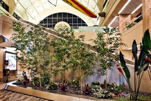 Chúng tôi đã làm một dịch vụ Thương mại sân bay Nội thất cảnh quan trang trí với cây cọ lớn được bảo quản tre lau sậy cây nhiệt đới cypres - Product Image 3